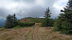 x14_IMG_20251008_141844