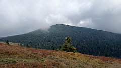 x14_IMG_20251008_142034