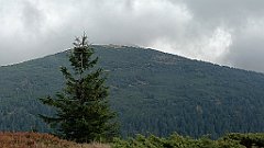 x14_IMG_20251008_142236